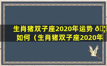 生肖猪双子座2020年运势 🦉 如何（生肖猪双子座2020年 🐵 运势如何呢）